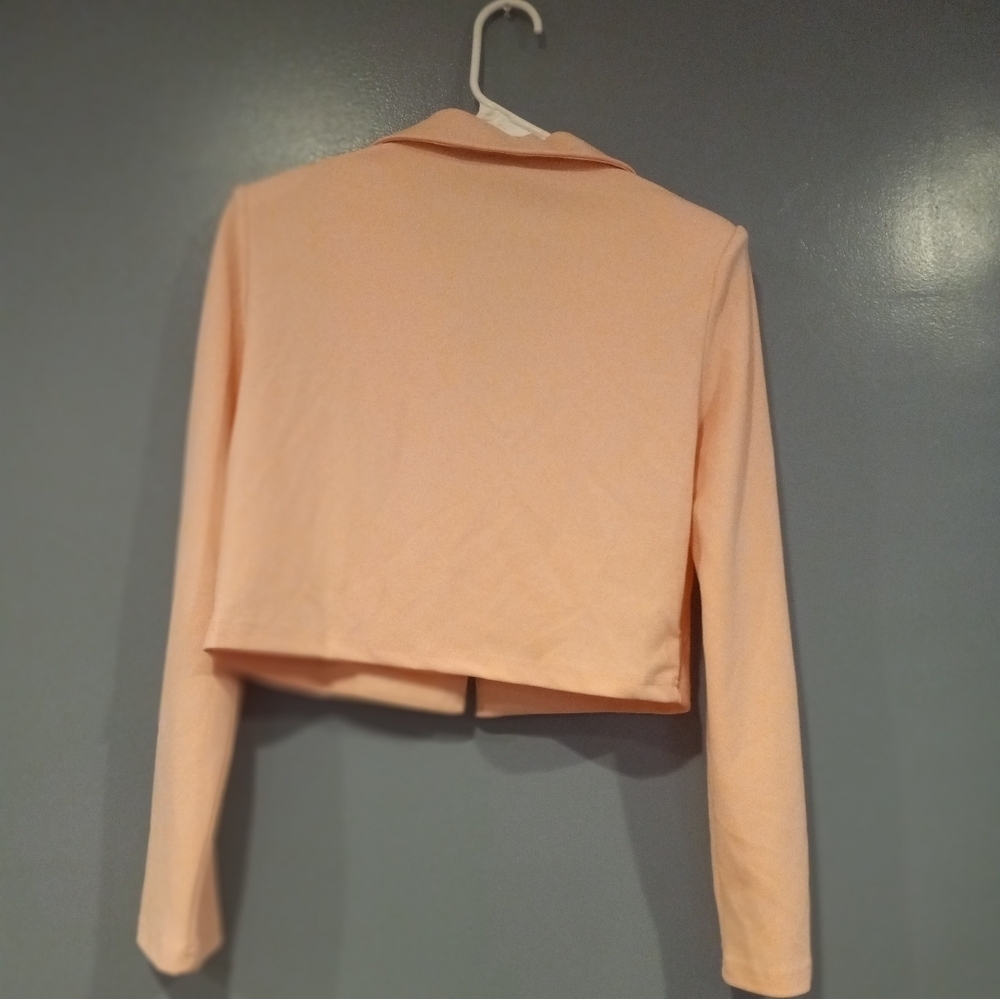 Blush Pink Blazer - Picture 3 of 3